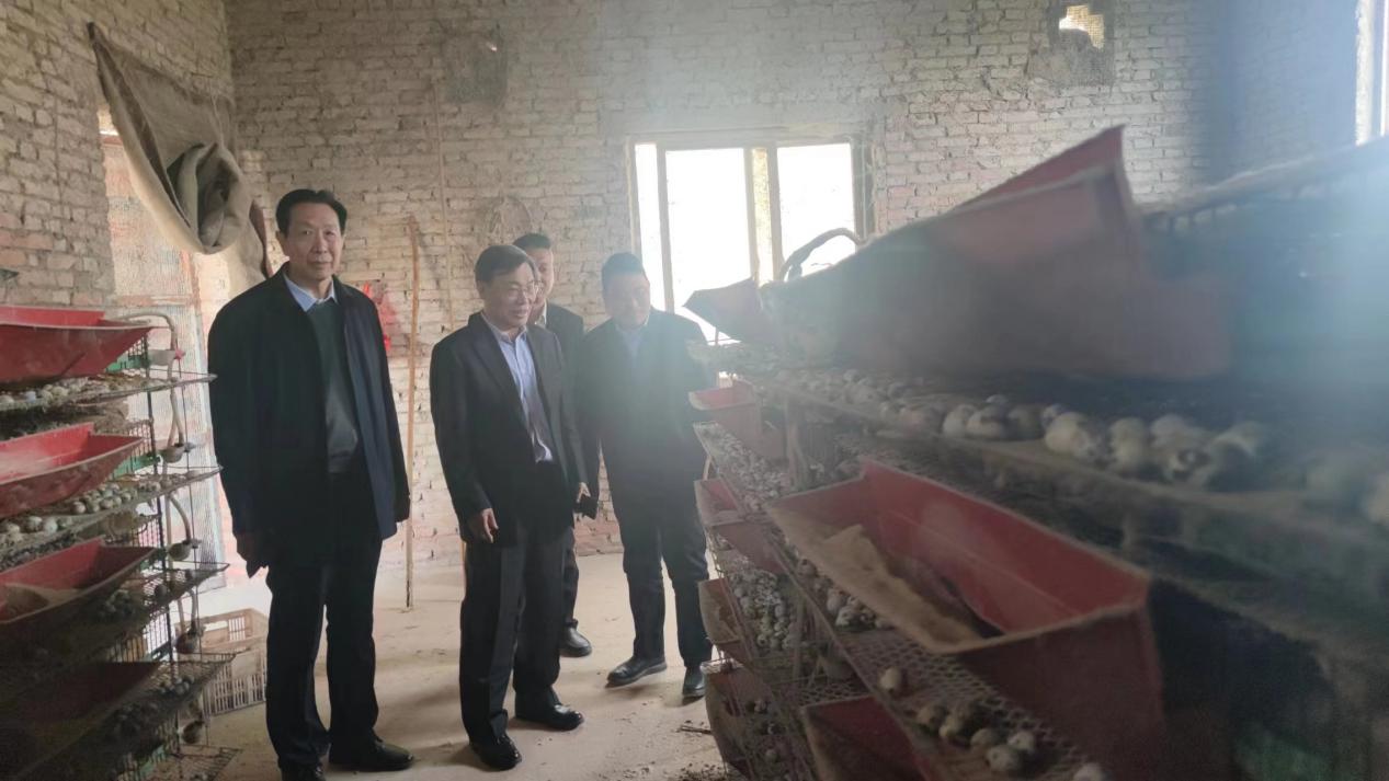 /Uploads/Public/2023-03-31//64269c3ee5b20.jpg /Uploads/Public/2023-03-31//64269c3ee5b20.jpg